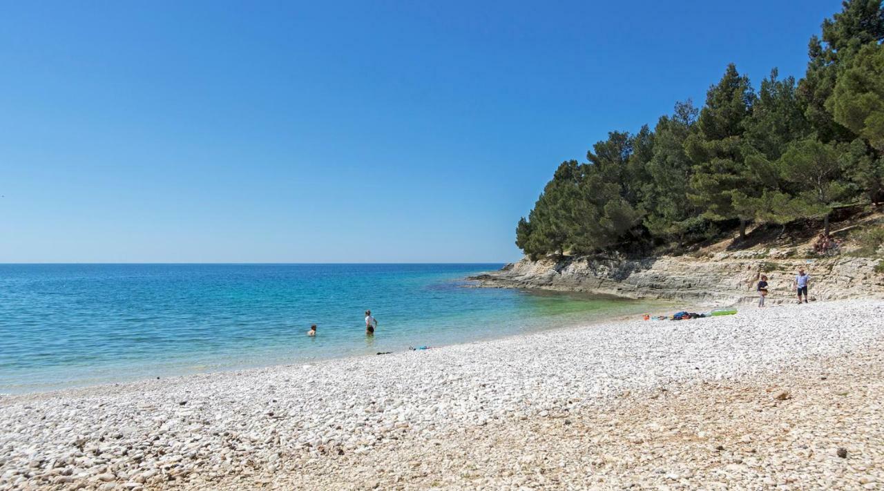 Center Big With Private Parking Apartment Pula