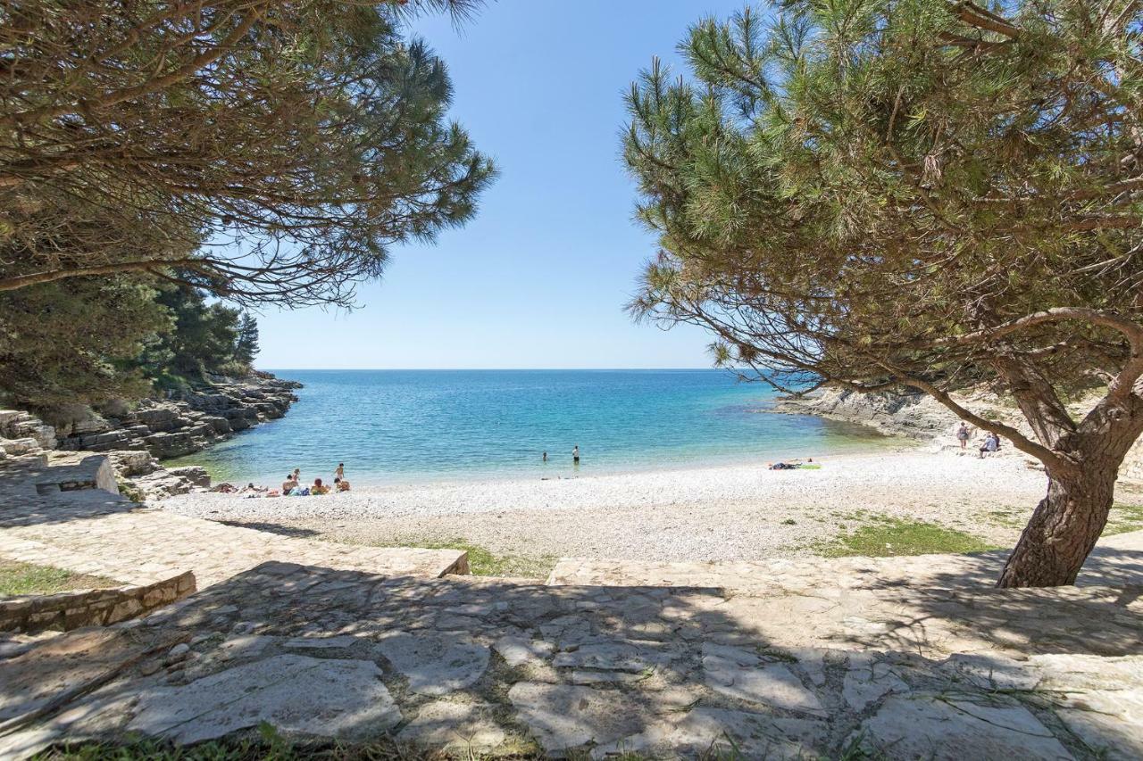 Apartment Center Big With Private Parking Pula